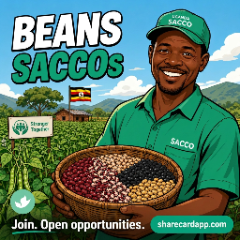 Beans SACCOs — join, open opportunities