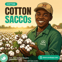Cotton SACCOs — join, get verified buyers