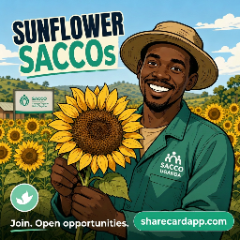 Sunflower SACCOs — join, open opportunities